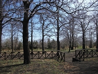fugio Pianobello01042012 164